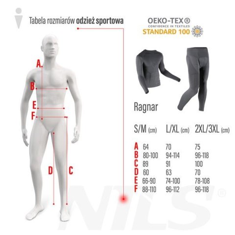 BTS0060 SPODNIE TERMOAKTYWNE SZARE MĘSKIE 2XL/3XL RAGNAR NILS BTS0060 SPODNIE TERMOAKTYWNE SZARE MĘSKIE 2XL/3XL RAGNAR NILS