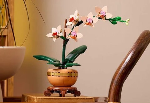 10343 - LEGO The Botanical Collection - Mała orchidea 10343 - LEGO The Botanical Collection - Mała orchidea