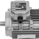 Silnik elektryczny asynchroniczny trójfazowy 2870 obr./min 230/400 V 1.5 kW
