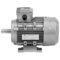Silnik elektryczny asynchroniczny trójfazowy 2870 obr./min 230/400 V 1.5 kW