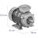 Silnik elektryczny asynchroniczny trójfazowy 2870 obr./min 230/400 V 1.5 kW