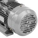 Silnik elektryczny asynchroniczny trójfazowy 2870 obr./min 230/400 V 2.2 kW