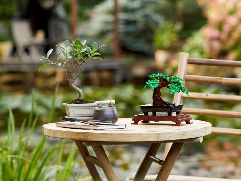 10281 - LEGO Creator - Drzewko bonsai 10281 - LEGO Creator - Drzewko bonsai