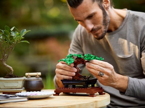 10281 - LEGO Creator - Drzewko bonsai 10281 - LEGO Creator - Drzewko bonsai