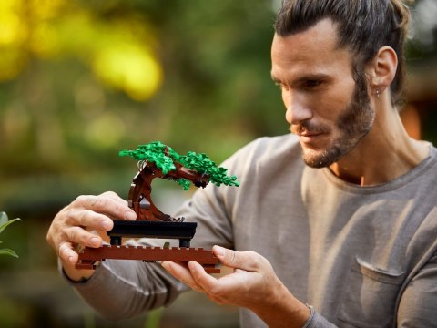 10281 - LEGO Creator - Drzewko bonsai 10281 - LEGO Creator - Drzewko bonsai