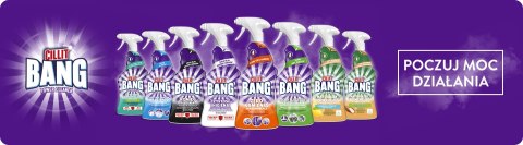 CILLIT BANG Power Cleaner Kamień i Brud 750ml Spray CILLIT BANG Power Cleaner Kamień i Brud 750ml Spray