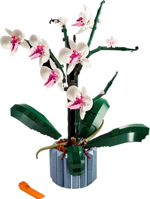 10311 - LEGO Icons - Orchidea 10311 - LEGO Icons - Orchidea