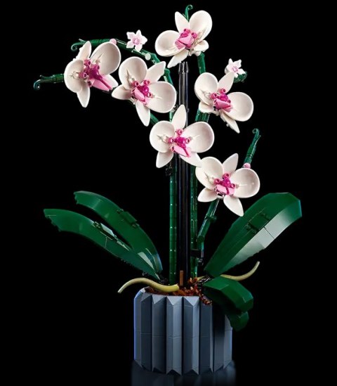 10311 - LEGO Icons - Orchidea 10311 - LEGO Icons - Orchidea