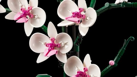 10311 - LEGO Icons - Orchidea 10311 - LEGO Icons - Orchidea