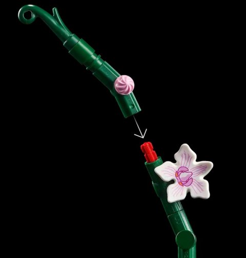 10311 - LEGO Icons - Orchidea 10311 - LEGO Icons - Orchidea