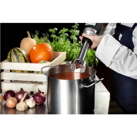 Mocny mikser blender robot ręczny dł. ramienia 250mm 350W 230V Royal Catering Mocny mikser blender robot ręczny dł. ramienia 250mm 350W 230V Royal Catering