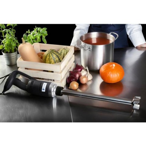 Mocny mikser blender robot ręczny dł. ramienia 300mm 500W 230V Royal Catering Mocny mikser blender robot ręczny dł. ramienia 300mm 500W 230V Royal Catering