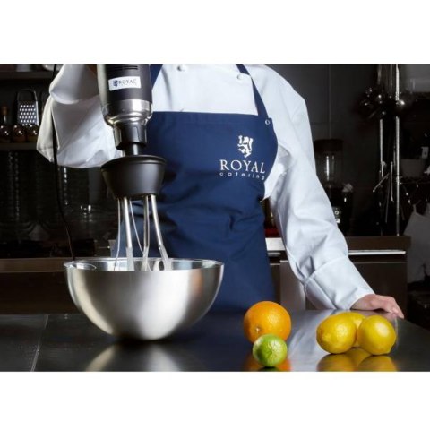 Mocny mikser blender robot ręczny z trzepaczką 500W 230V Royal Catering Mocny mikser blender robot ręczny z trzepaczką 500W 230V Royal Catering