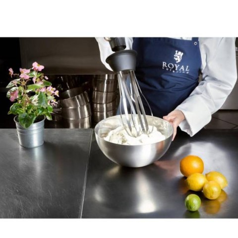 Mocny mikser blender robot ręczny z trzepaczką 500W 230V Royal Catering Mocny mikser blender robot ręczny z trzepaczką 500W 230V Royal Catering