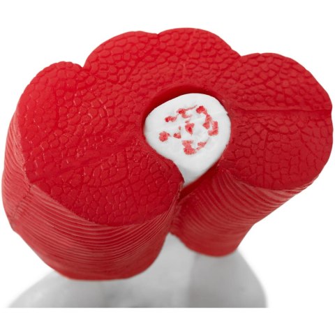 Model anatomiczny stawu kolanowego 3D w skali 1:1 Model anatomiczny stawu kolanowego 3D w skali 1:1