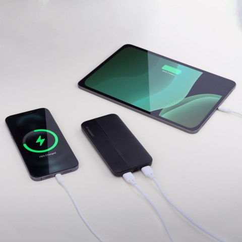 Powerbank Li-Po 10000mAh 2xUSB czarny Powerbank Li-Po 10000mAh 2xUSB czarny